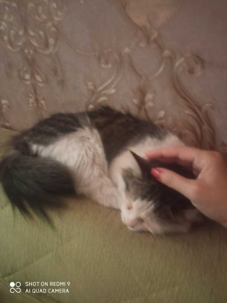 Анонимные знакомства для подростков