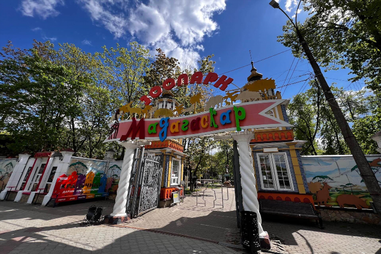 Найти друзей в нижнем новгороде