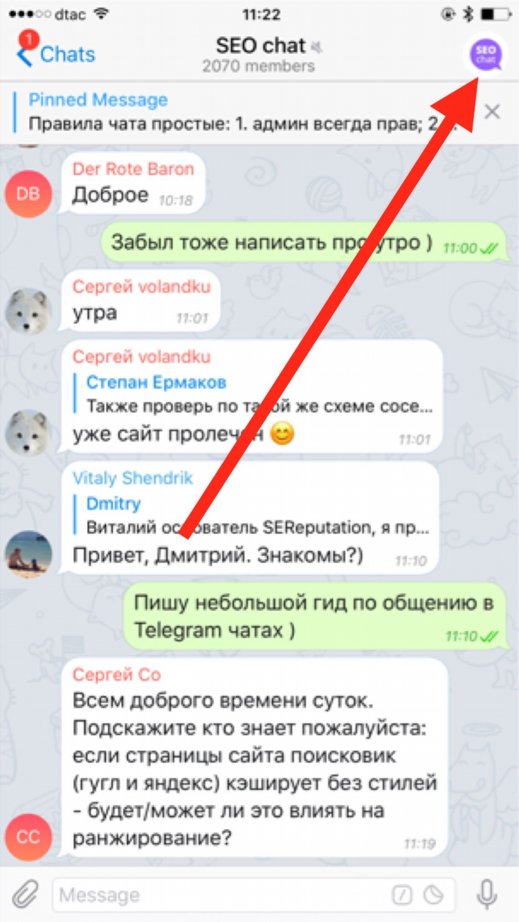 Общение чатик телеграм