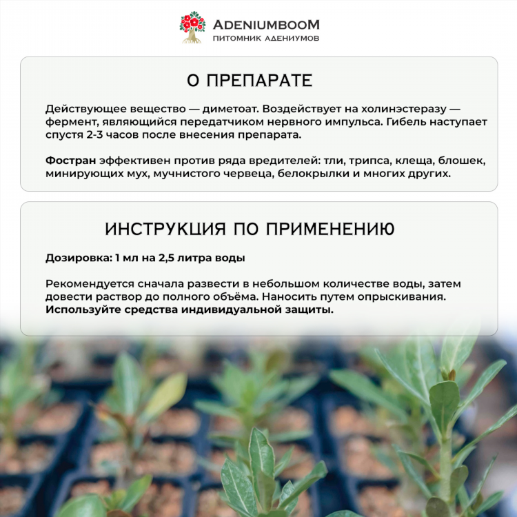 Произошло знакомство синоним