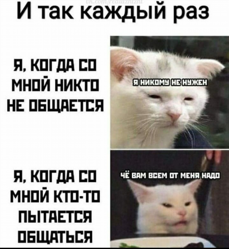 Со мной общаться